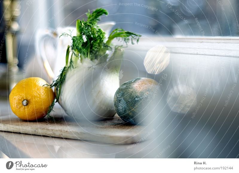 Silent life on the windowsill Jug Old To dry up Wait Authentic Healthy Sour Yellow White Safety (feeling of) Warm-heartedness Esthetic To enjoy Transience