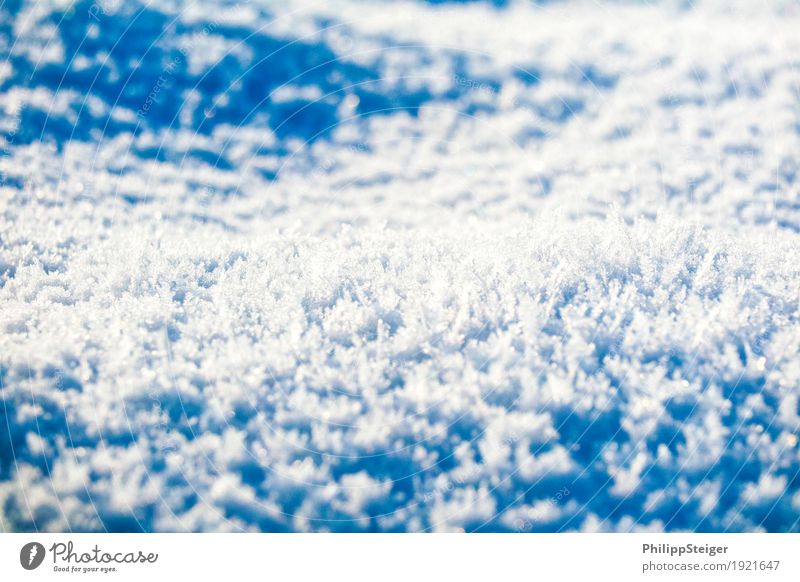 Ice crystals on the ground Winter Environment Nature Elements Water Frost Snow Cold Bizarre Frozen Puddle Ground Colour photo Exterior shot Deserted