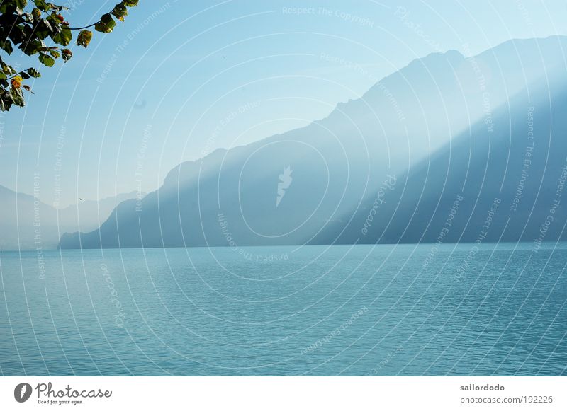 Autumn morning at Lake Brienz Environment Nature Landscape Water Alps Mountain axalphorn rotten horn Bernese Oberland Brienz lake Blue Moody Beautiful