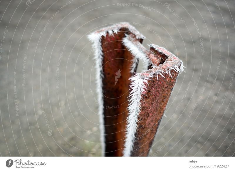 Frost on rust. Great climate. Winter Climate Ice Metal Rust Ice crystal Cold Point Thorny Frozen Colour photo Exterior shot Close-up Deserted Copy Space left