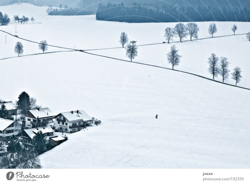 finishing lines Nature Landscape Winter Ice Frost Snow Field Village Small Town Traffic infrastructure Street Crossroads Above Under Bird's-eye view Outskirts