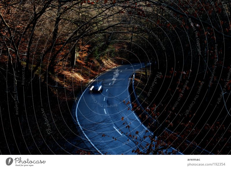 highway Landscape Autumn Tree Forest Transport Means of transport Traffic infrastructure Road traffic Motoring Street Vehicle Car Driving Vacation & Travel