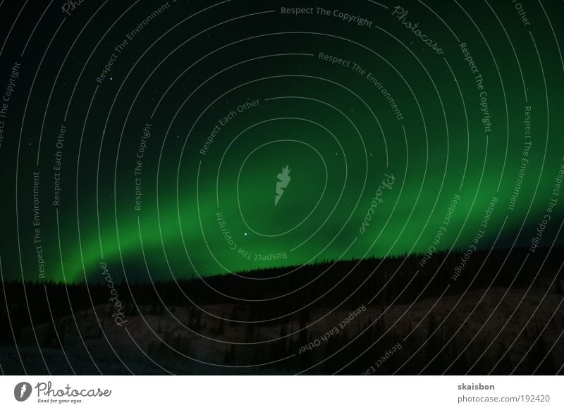 i can see the lights Nature Landscape Sky Stars Canada Esthetic Movement Aurora Borealis Arctic circle Polar night Green North Uniqueness Experience Wind