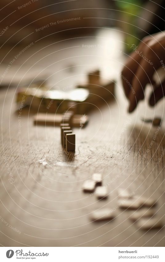 Domino Game Joy Playing Brown Dominos draw Throw dice Hand Table Wood Blur Dawn Sunday Colour photo Subdued colour Interior shot Detail Macro (Extreme close-up)