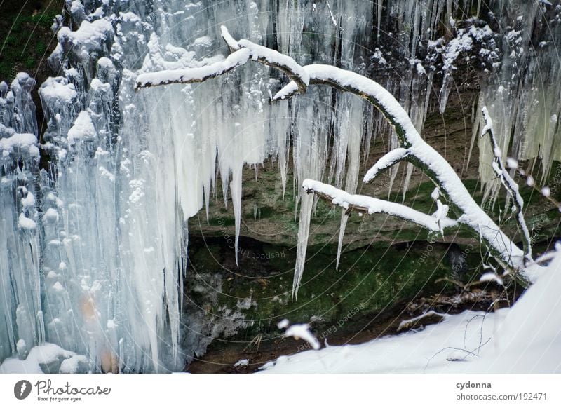 Discreet winter decoration Calm Winter vacation Environment Nature Climate Climate change Ice Frost Snow Rock Uniqueness Discover Cold Life Beautiful Stagnating