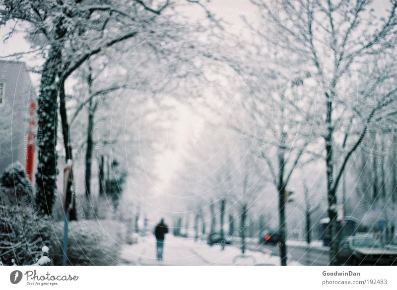 Analog winter dream Winter Snow Human being Masculine Man Adults 1 Sky Clouds Weather Fog Tree Road traffic Street Observe Dream Authentic Far-off places