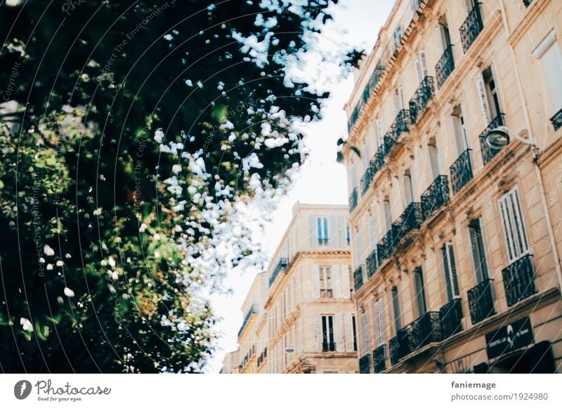 streets of Marseille Lifestyle Luxury Elegant Style Town Port City Downtown Old town House (Residential Structure) Dream house Wall (barrier) Wall (building)