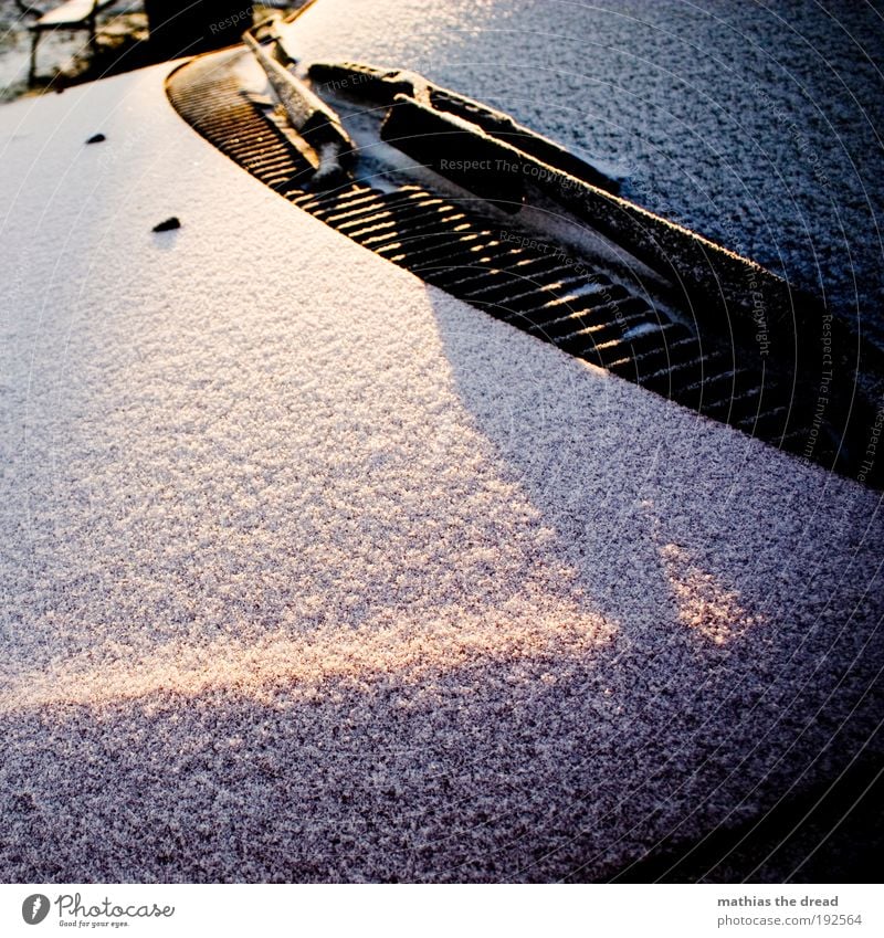 Sun vs. snow Environment Nature Sunrise Sunset Winter Ice Frost Snow Transport Motoring Vehicle Car Cool (slang) Cold Car Hood Windscreen Vent slot