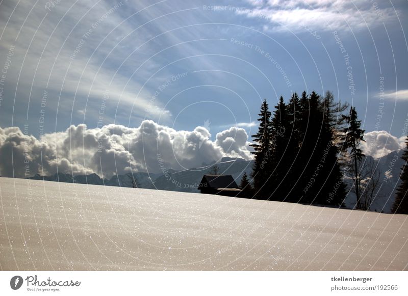 The house on the snow Nature Landscape Sky Clouds Winter Beautiful weather Wind Ice Frost Snow Plant Tree Fir tree Mountain Alpstein High Hirschberg