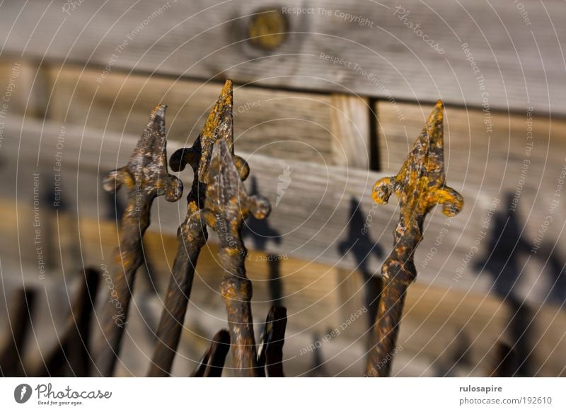 Grate fence #2 Fence Metal Rust Old Threat Historic Point Brown Yellow Gray Aggression Bizarre Concentrate Precision Past Transience Arrow Blur lensbaby