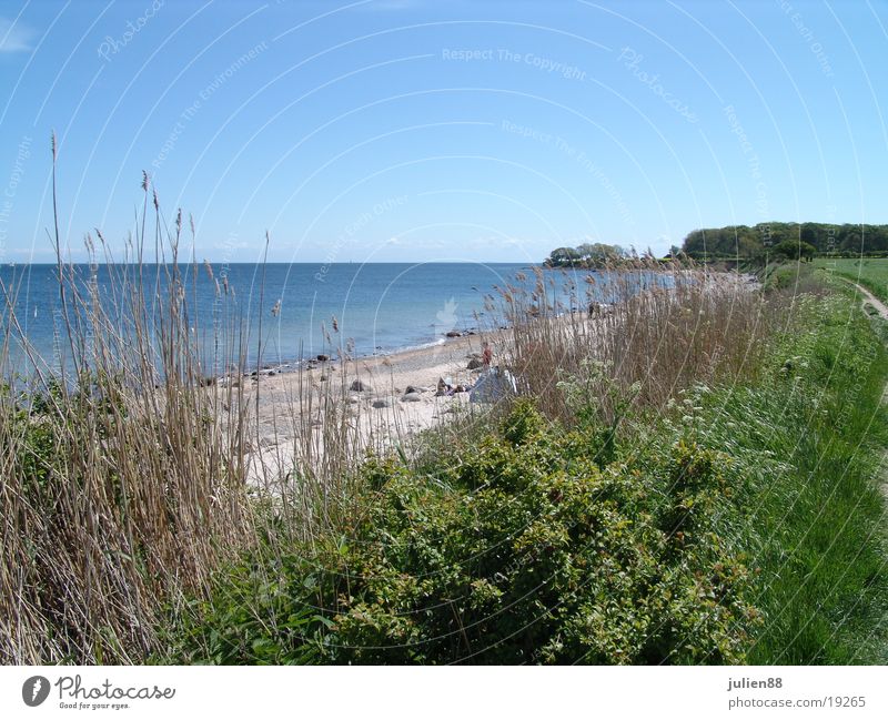 Beach of Büsum Coast Water shrubs Beach dune Sky