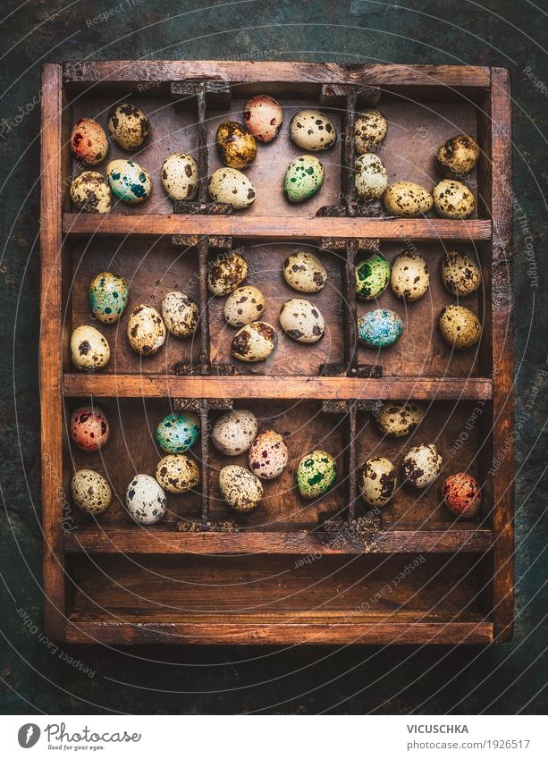 Wooden box with coloured eggs for Easter Style Design Joy Living or residing Decoration Feasts & Celebrations Nature Religion and faith Tradition Vintage Egg