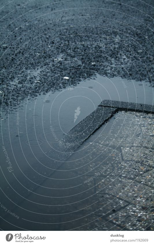 caul Water Drops of water Winter Weather Bad weather Storm Rain Street Observe Sadness Wait Puddle Curbside Stone Tar Drizzle Gray Cold Wet Subdued colour