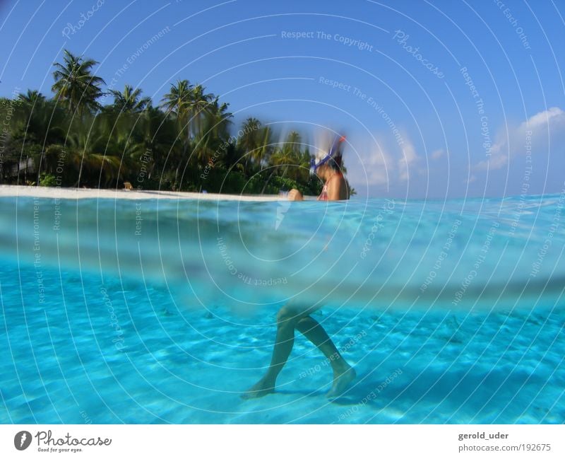 Woman in lagoon on tropical island Vacation & Travel Adventure Far-off places Freedom Summer Summer vacation Beach Ocean Island Waves Aquatics 1 Human being