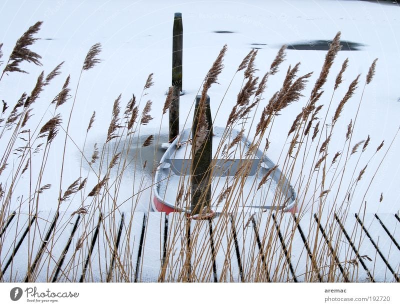 Frozen Vacation & Travel Winter Winter vacation Nature Landscape Water Ice Frost Snow Plant Grass River Rowboat Harbour Moody Calm Jetty Colour photo