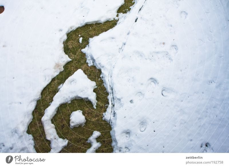 end of winter Snow Snow layer Winter Snowman Tracks Footprint Curlicue Lanes & trails Footpath Bend Meandering Misunderstanding Aberration Crazy Fantastic Wacky