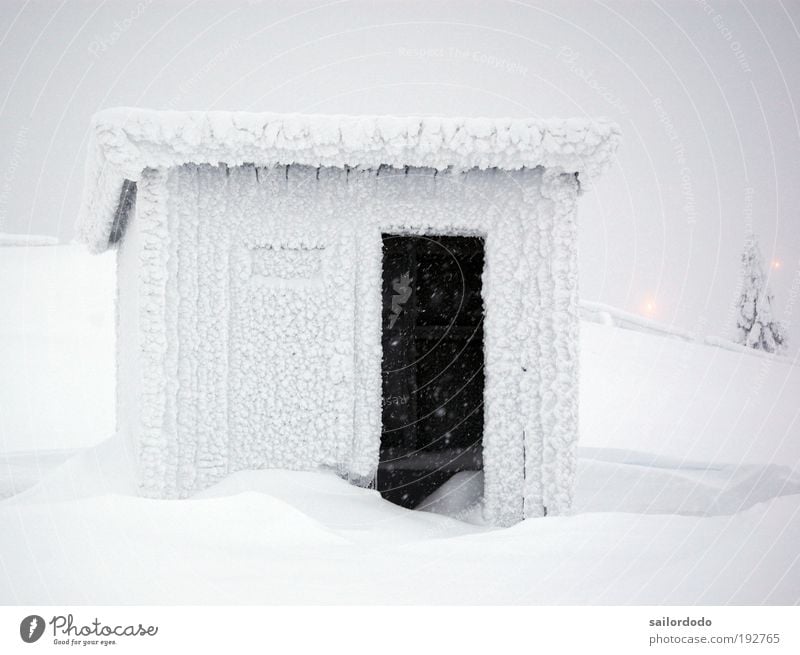 Icy bus stop Environment Winter Climate Climate change Weather Fog Ice Frost Sweden Hut Bus stop Public transit Bus travel Wait Cold Gray White Nature