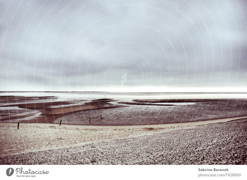 Ebb tide on Sylt Nature Landscape Sand Air Water Sky Horizon Summer Climate Bad weather Coast Beach North Sea Ocean Island Breathe Swimming & Bathing Observe