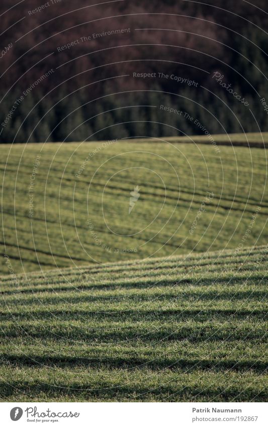 agricultural landscape Vacation & Travel Far-off places Freedom Mountain Environment Nature Landscape Earth Beautiful weather Grass Field Deserted Esthetic