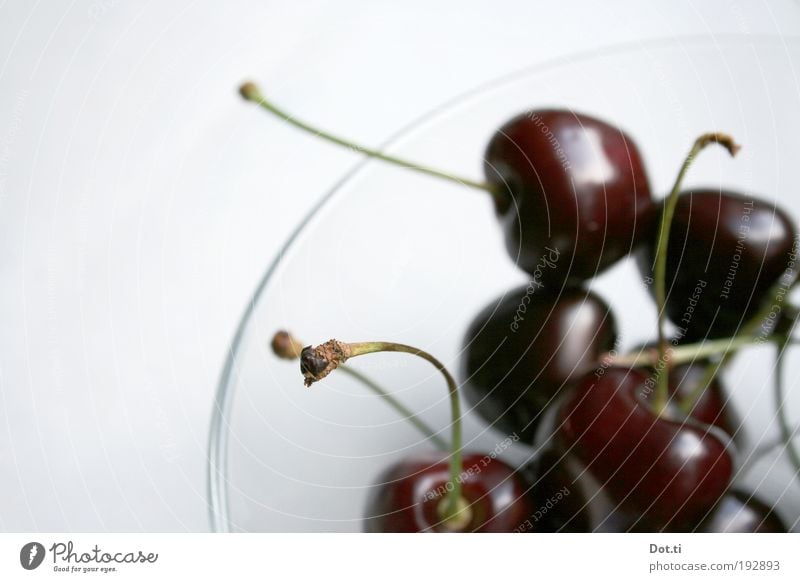 Summer break in Piedmont Food Nutrition Bowl Delicious Sweet black cherry Cherry Stalk Fresh Juicy Red Crunchy Mature Colour photo Interior shot Close-up