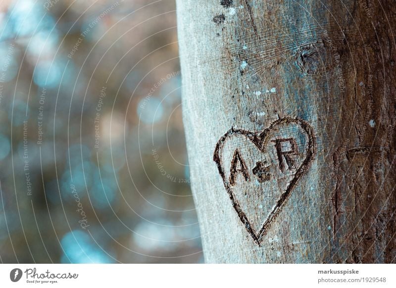 Heart declaration of love Adventure Far-off places Freedom Mountain Hiking Nature Plant Animal Sun Autumn Tree Leaf Blossom Agricultural crop Tree trunk Sign