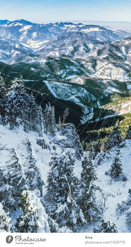 View from the Unterberg to the foothills of the Alps Snow hiking Skiing Tourism Winter Landscape Fir tree Mountain Peak Snowcapped peak Infinity Cold Blue