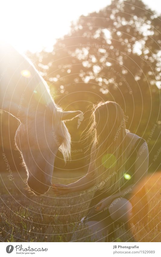 summer dreams Human being Feminine Young woman Youth (Young adults) Hair and hairstyles 1 18 - 30 years Adults Animal Horse Beautiful Modern Emotions Joy