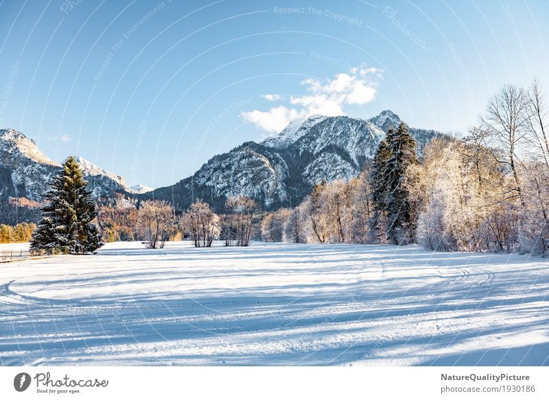 winter Winter Snow Winter vacation Mountain Hiking Climbing Mountaineering Skiing Environment Nature Landscape Plant Sky Clouds Wind Ice Frost Tree Park Forest