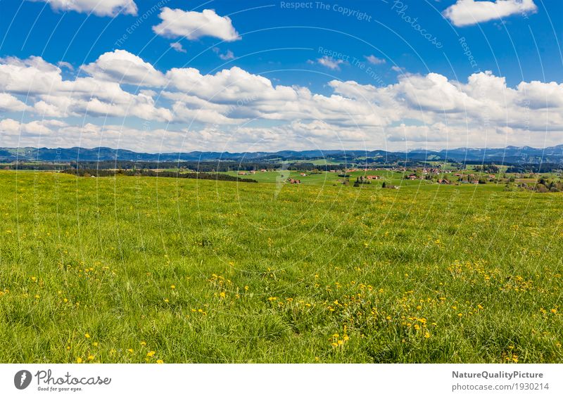 meadow in allgau Style Healthy Alternative medicine Allergy Life Harmonious Senses Relaxation Calm Meditation Playing Vacation & Travel Tourism Far-off places