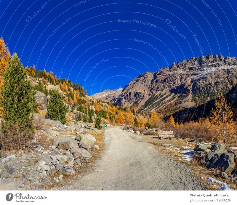 morteratsch glacier - graubunden - switzerland Exotic Healthy Life Harmonious Well-being Contentment Senses Relaxation Calm Meditation Vacation & Travel Tourism