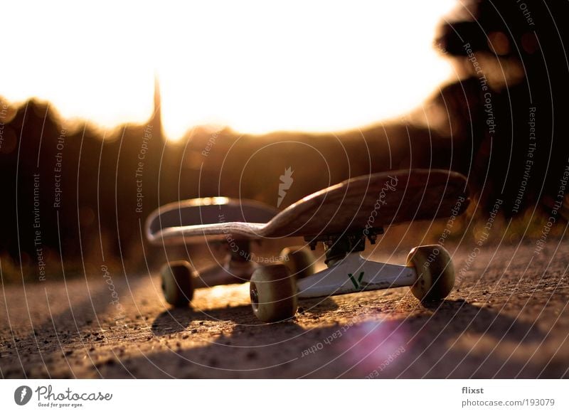 Back to the street Sunlight Beautiful weather Skateboard Sunset Colour photo Exterior shot Copy Space top Twilight Light Shadow Sunbeam Back-light