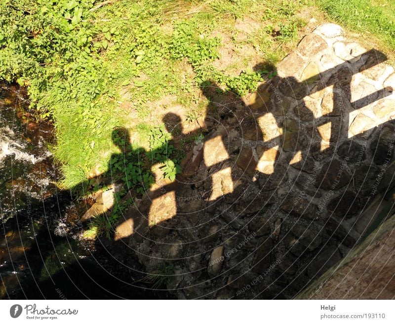 Shadow of four people on a bridge railing Harmonious Leisure and hobbies Trip Human being Masculine Friendship Couple 4 Nature Landscape Plant Water Summer