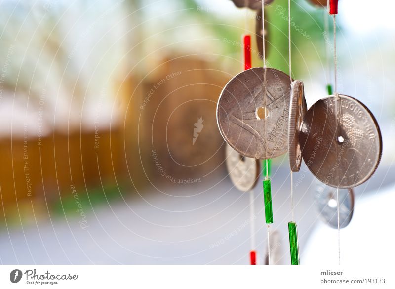 coins Kitsch Odds and ends Money Green String Rope Colour photo Exterior shot Macro (Extreme close-up) Deserted Day Blur Shallow depth of field