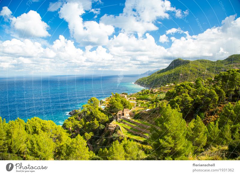 Coast line, Sierra de Tramuntana Life Calm Vacation & Travel Tourism Summer Summer vacation Sun Nature Landscape Plant Water Sky Climate Beautiful weather