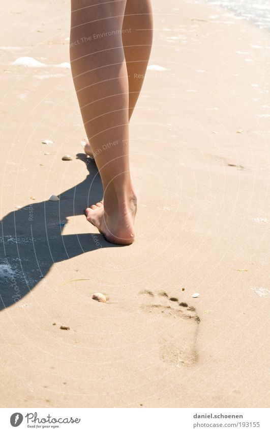 Amrum_6 Well-being Relaxation Calm Vacation & Travel Tourism Summer Summer vacation Sun Beach Ocean Island Waves Feminine Young woman Youth (Young adults) Legs