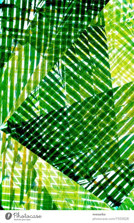 Textures of Tropical Plants Lifestyle Luxury Elegant Style Design Exotic Well-being Senses Art Painting and drawing (object) Nature Esthetic Natural Green