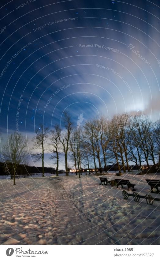 At night at the castle Art Nature Sky Clouds Stars Moon Winter Weather Ice Frost Snow Tree Park Beautiful Soft Blue Gray White Environment Colour photo