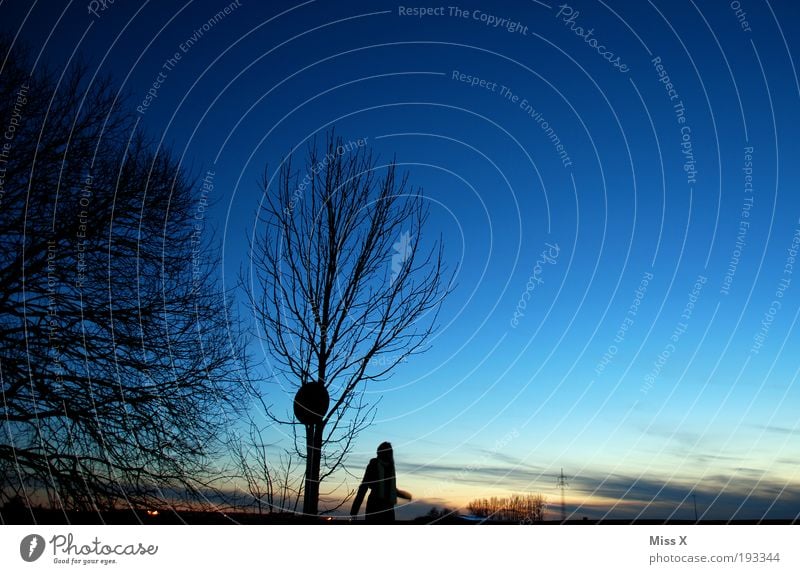 Blue hour Hiking 1 Human being Nature Landscape Sky Night sky Horizon Winter Weather Beautiful weather Field Dark Romance Hope To go for a walk Twilight