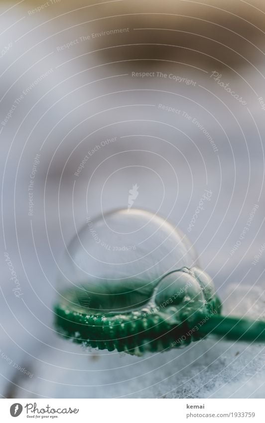 Freezing Leisure and hobbies Playing Soap bubble Winter Ice Frost Snow Exceptional Fresh Glittering Round Beautiful Green Cold Frozen ice bubble Colour photo