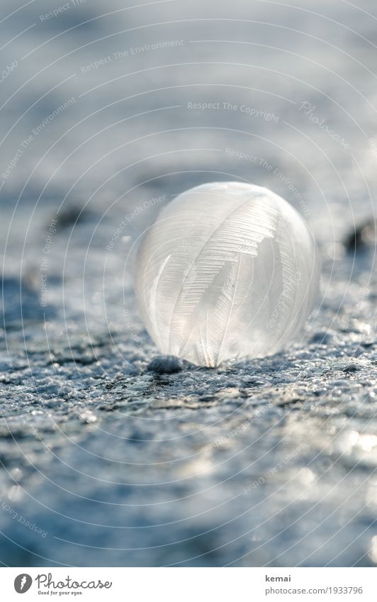 bubble art Environment Nature Elements Water Winter Ice Frost Lake Soap bubble Feather Crystal Sphere Exceptional Glittering Cold Blue Frozen Experimental