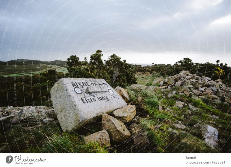 right of way Life Calm Leisure and hobbies Hiking Environment Nature Landscape Plant Sky Clouds Weather Grass Bushes Moss Wild plant Hill Peak Ireland Stone