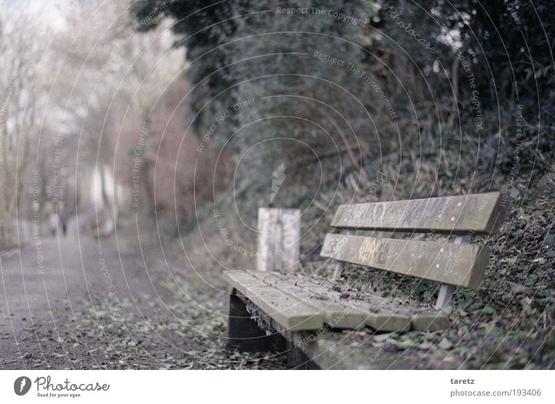 The rest is silence Park Simple Gray Park bench Leaf Graffiti Cold Bench Autumn Trash container Colour photo Subdued colour Exterior shot Copy Space left Day