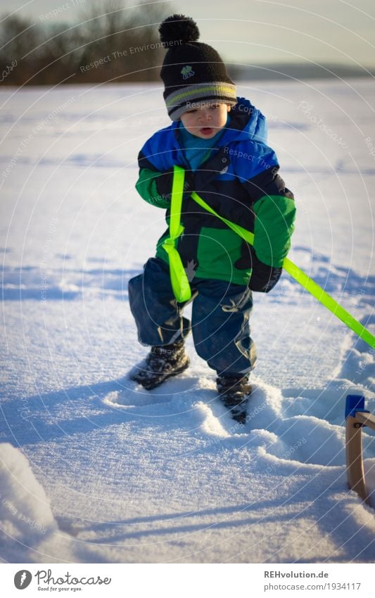 snow fun Playing Human being Child Toddler Boy (child) 1 1 - 3 years Environment Nature Landscape Winter Snow Jacket Scarf Gloves Cap Authentic Natural Movement