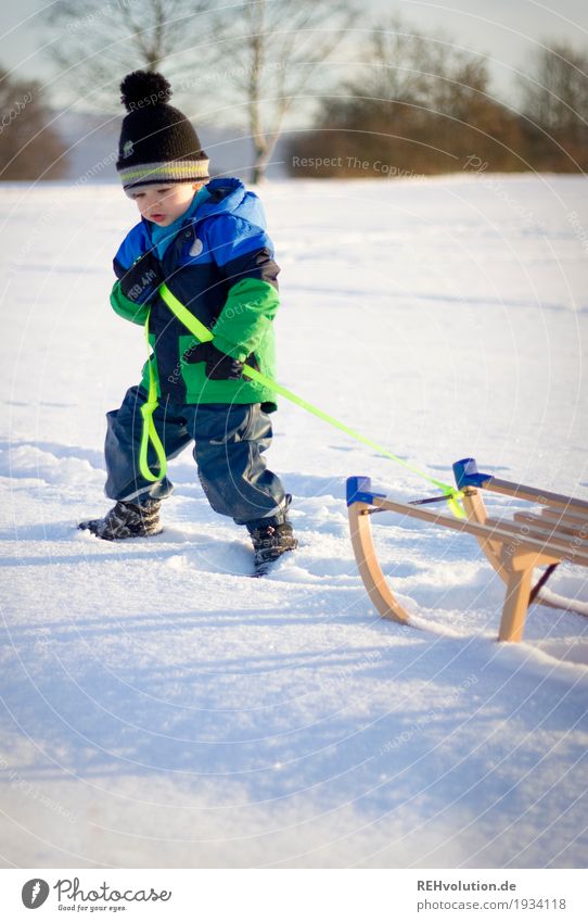 in deep snow Human being Masculine Child Toddler Boy (child) 1 1 - 3 years Environment Nature Landscape Sun Winter Beautiful weather Snow Jacket Scarf Gloves