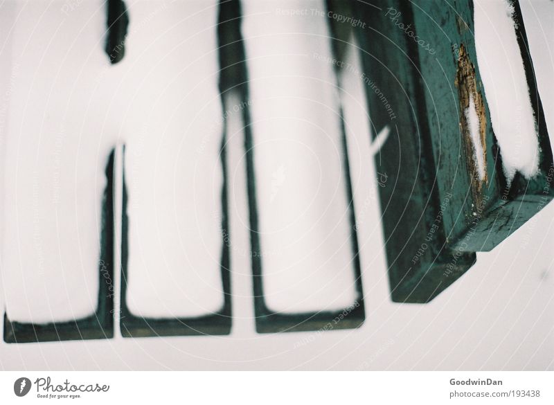 Analog winter bench Nature Snow Bench Discover Kneel Illuminate Esthetic Cold Green White Colour photo Exterior shot Detail Shallow depth of field