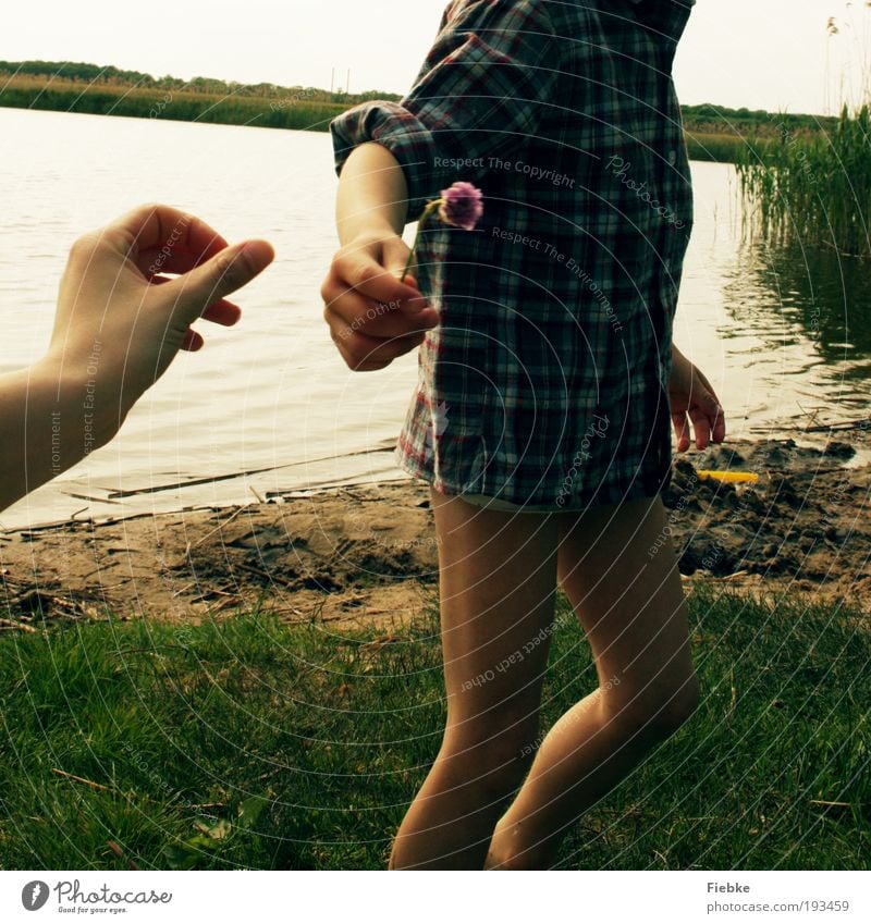 the gift Joy Happy Trip Summer Beach Human being Family & Relations Friendship Infancy Hand 2 Sand Water Flower Blossom Lakeside River bank Blossoming Fragrance