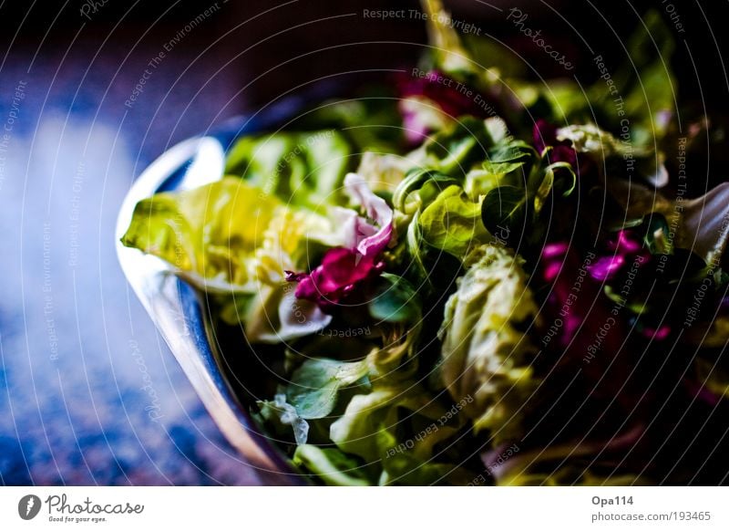 salad Food Lettuce Salad Nutrition Vegetarian diet Diet Bowl Fresh Healthy Green Violet Ease Colour photo Multicoloured Interior shot Close-up Detail