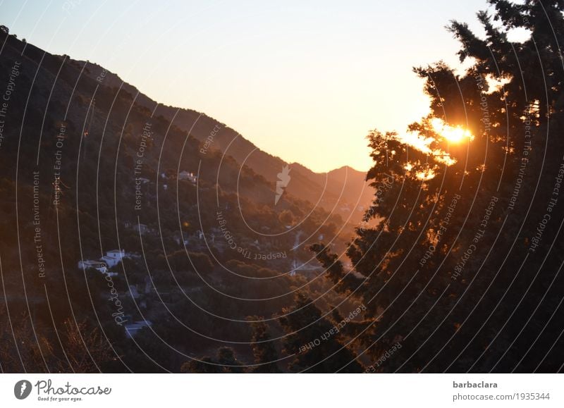 Tomorrow at the Axarquia. Vacation & Travel Nature Landscape Sky Sun Sunrise Sunset Winter Climate Beautiful weather Tree Hill Mountain Andalucia Spain