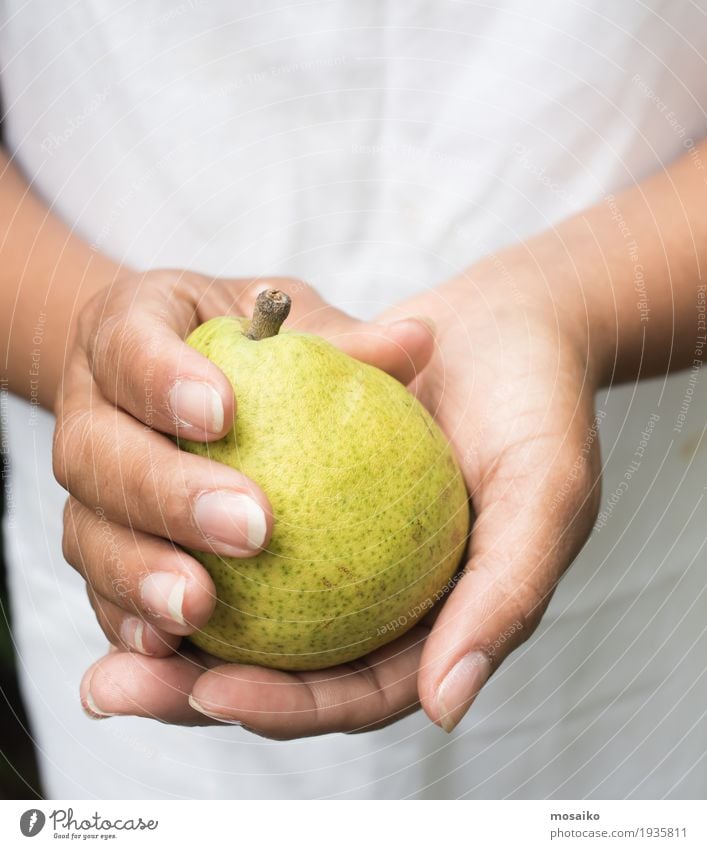 close up of hands - woman holding a yellow pear Fruit Vegetarian diet Diet Summer Garden Thanksgiving Gardening Human being Feminine Woman Adults Hand Fingers