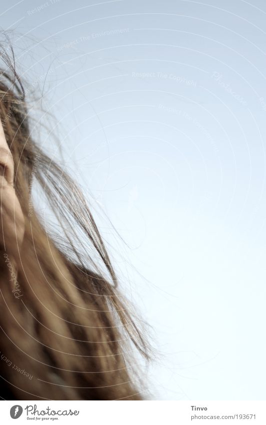 Storm - he's rehearsing. Feminine Woman Adults Head Hair and hairstyles Sky Cloudless sky Beautiful weather Brunette Long-haired Happy Happiness Contentment